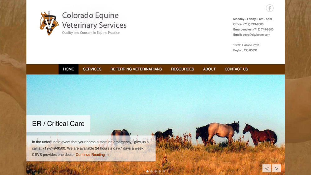Colorado Equine Veterinary Services