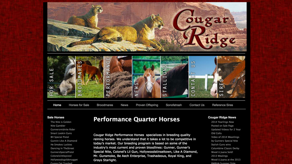 Cougar Ridge Performance Horses