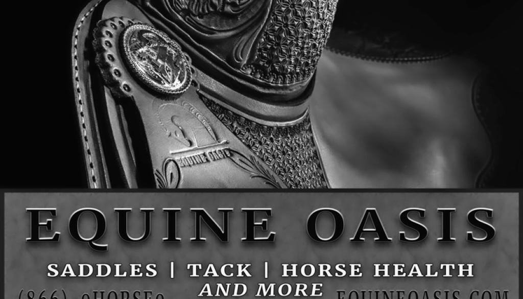 Elegant Advertising for Equine Market