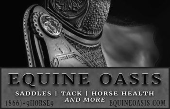 Elegant Advertising for Equine Market