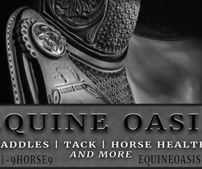 Elegant Advertising for Equine Market